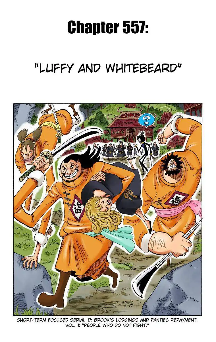 One Piece - Digital Colored Comics Chapter 557 2